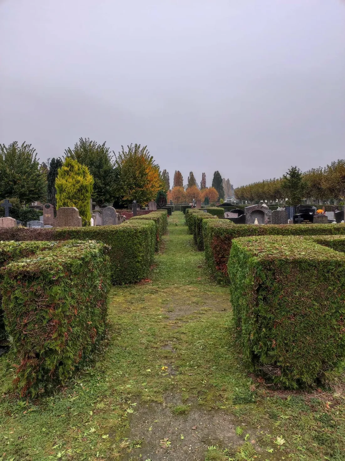 Les 9 cimetières municipaux de Strasbourg resteront fermés ce vendredi 